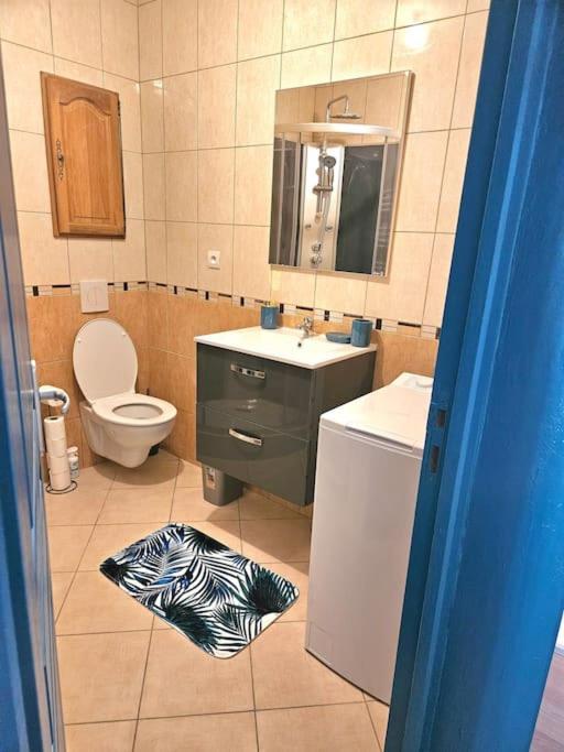Spacieux Et Charmant Appartement De 47 M2 Charleville-Mézières Εξωτερικό φωτογραφία